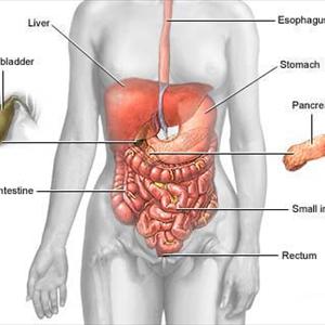 Ibs Bloating Relief - What Is Irritable Bowel Syndrome? What Are Symptoms Of Irritable Bowel Syndrome?